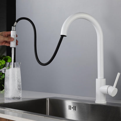 White Oat Kitchen Pull-out Faucet