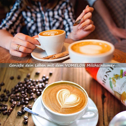 Electric Stainless Steel Milk Frother