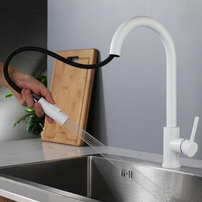 White Oat Kitchen Pull-out Faucet