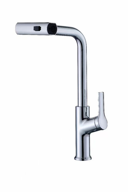 Pull-out Kitchen Shower Faucet