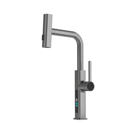 Pull-out Kitchen Shower Faucet